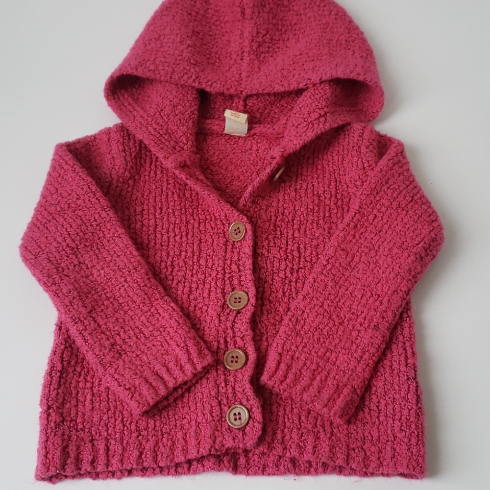 HARPER CANYON Pink Hooded Sweater Size 2T